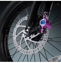 Vélo électrique  Eahora Romeo Cupidon , vélo de ville électrique 1000W