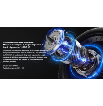 Eahora Juliette Vélos électrique 48 volts 250 watts a 4400 watts 60 ah