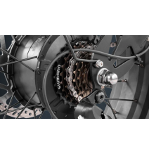 Eahora Romeo Pro II 52 volts 60 AH bi moteur 1500 watts