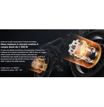 Eahora Romeo Pro II 52 volts 60 AH bi moteur 1500 watts