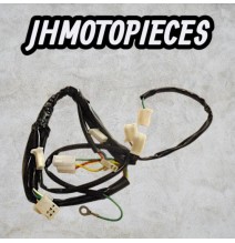 Faisceau électrique dirt bike  Apollo RFZ ENDURO et autre cdi Régulate