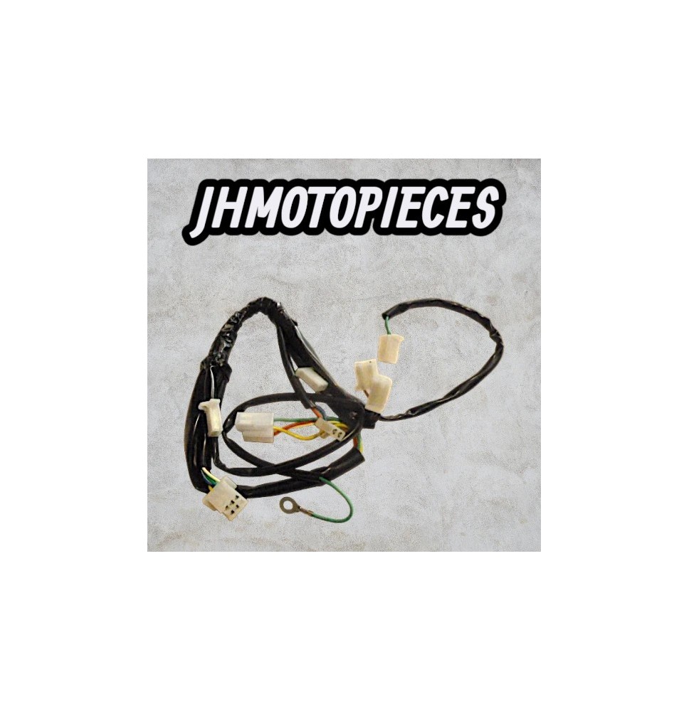 Faisceau électrique dirt bike  Apollo RFZ ENDURO et autre cdi Régulate