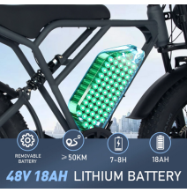Batterie bk 29 colorway et koolux 48 volts